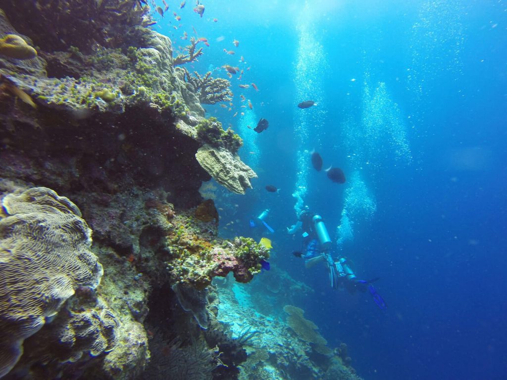 rondreis sulawesi bunaken hoogtepunt 16