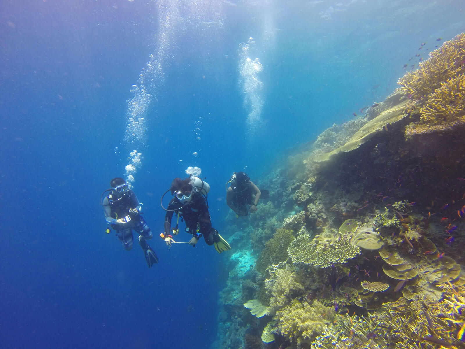 rondreis sulawesi bunaken hoogtepunt 17