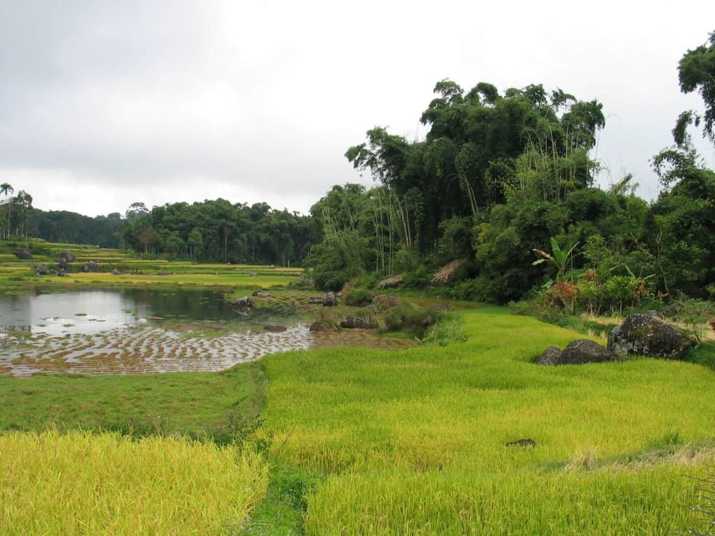 Hoogtepunten | Rama Tours