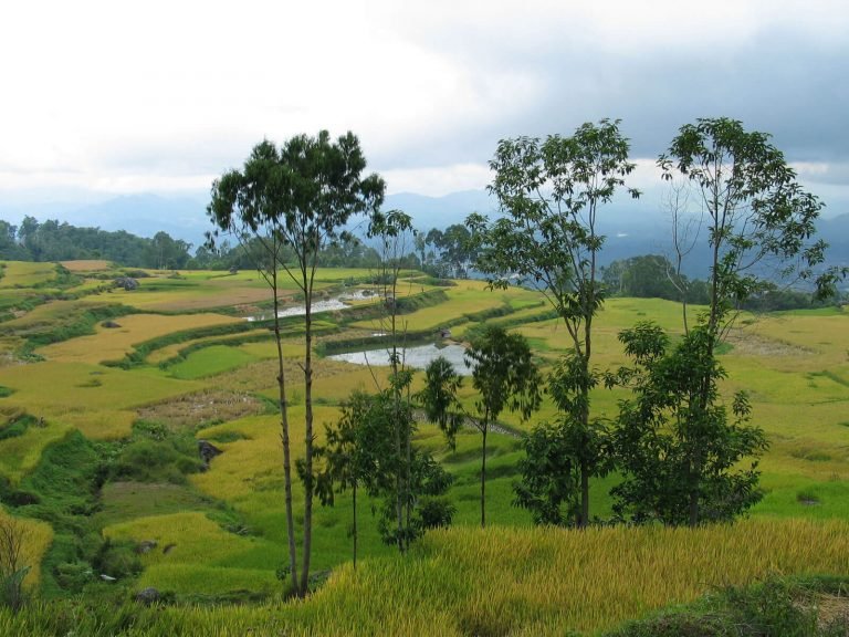 Hoogtepunten | Rama Tours