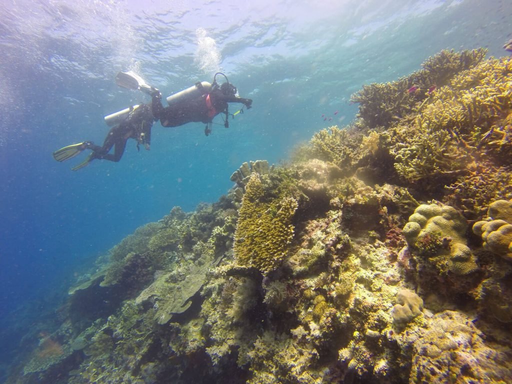 Hoogtepunten | Rama Tours