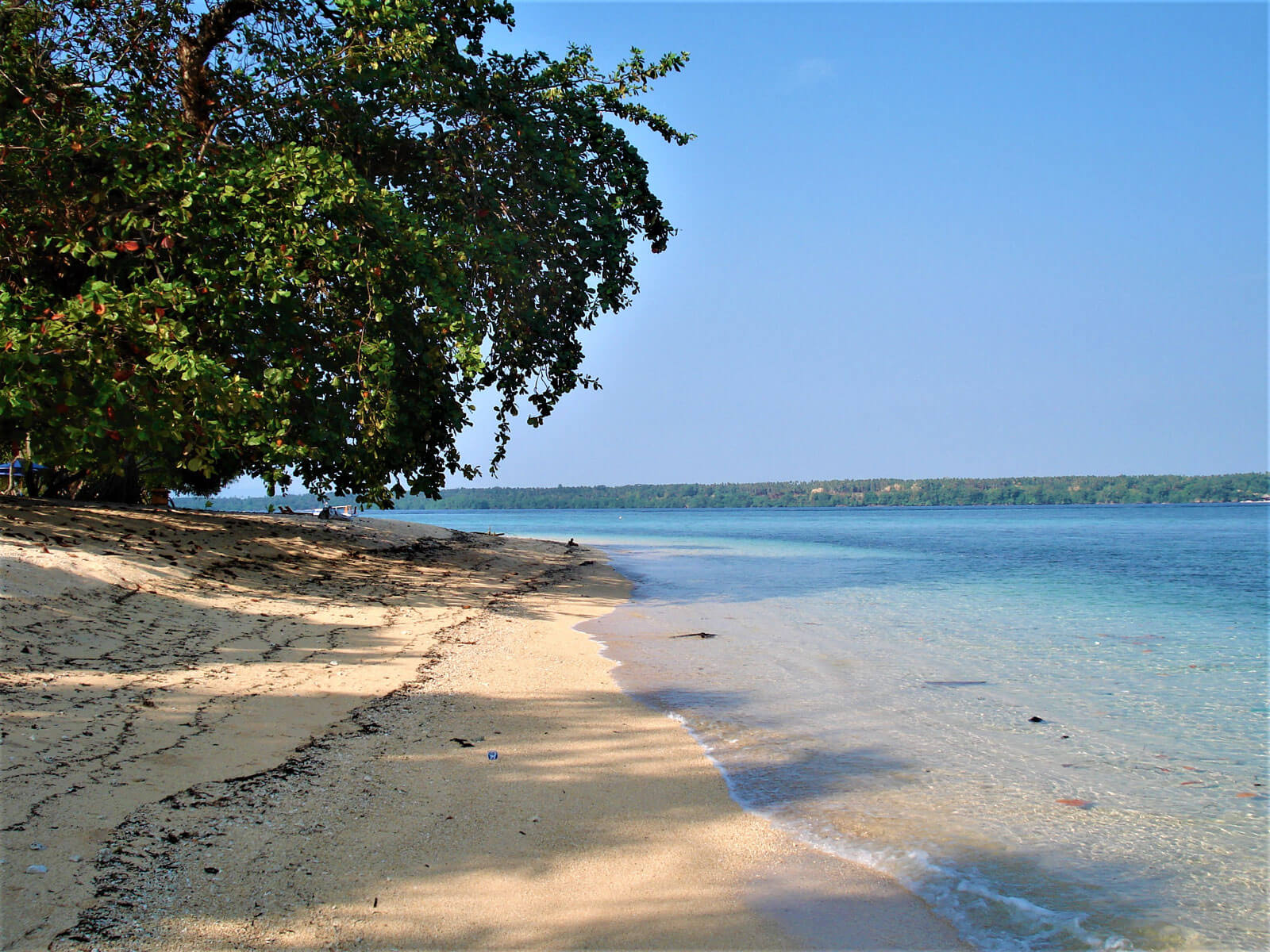 rondreis sulawesi siladen hoogtepunt 8