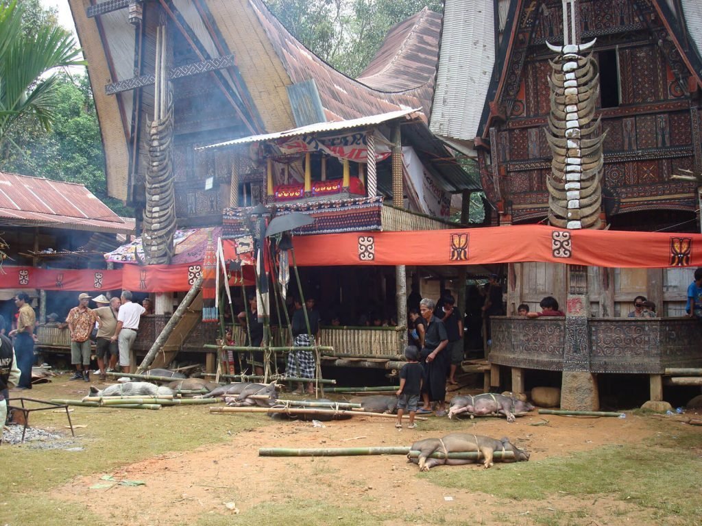 Hoogtepunten | Rama Tours