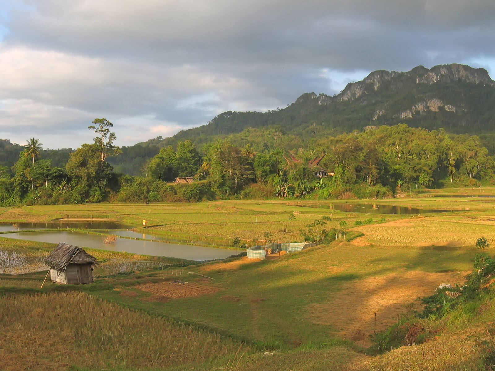 rondreis sulawesi tana toraja hoogtepunt 38