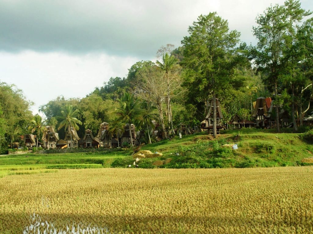 Hoogtepunten | Rama Tours