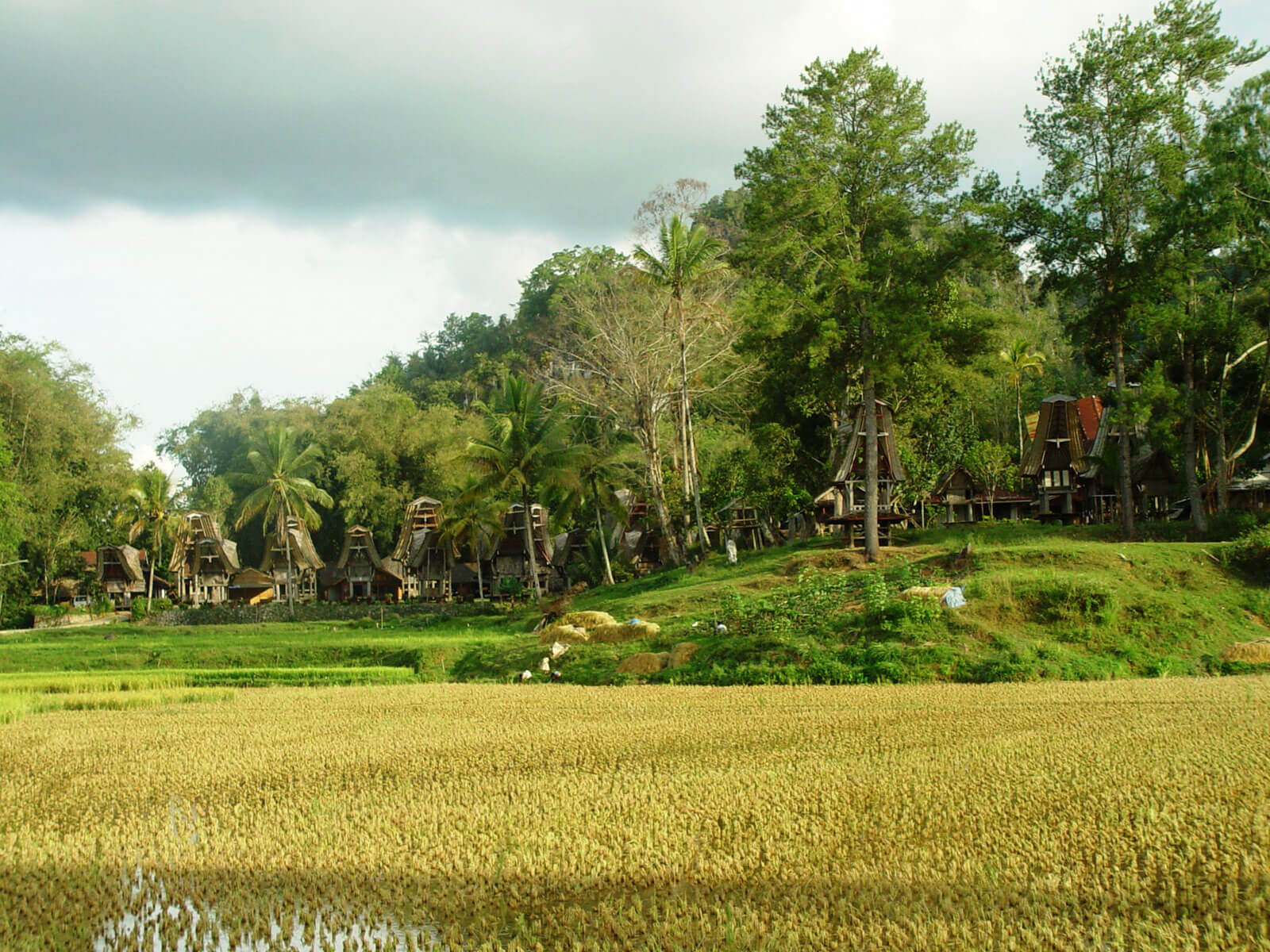 rondreis sulawesi tana toraja hoogtepunt 39