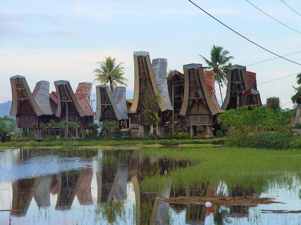 Sulawesi en Raja Ampat | Rama Tours