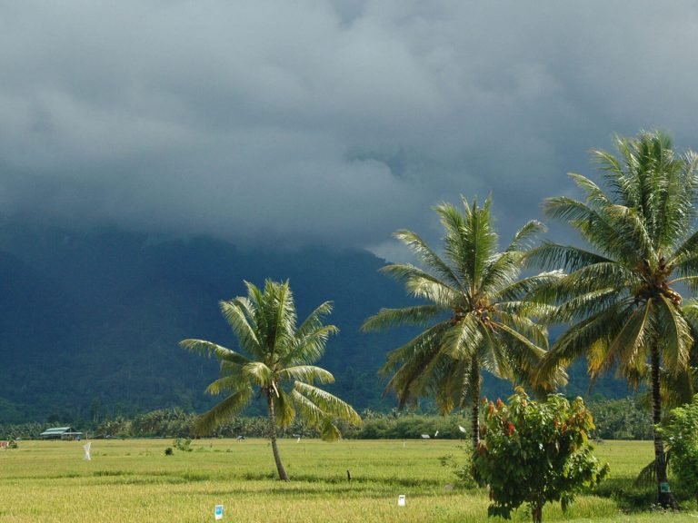 Hoogtepunten | Rama Tours