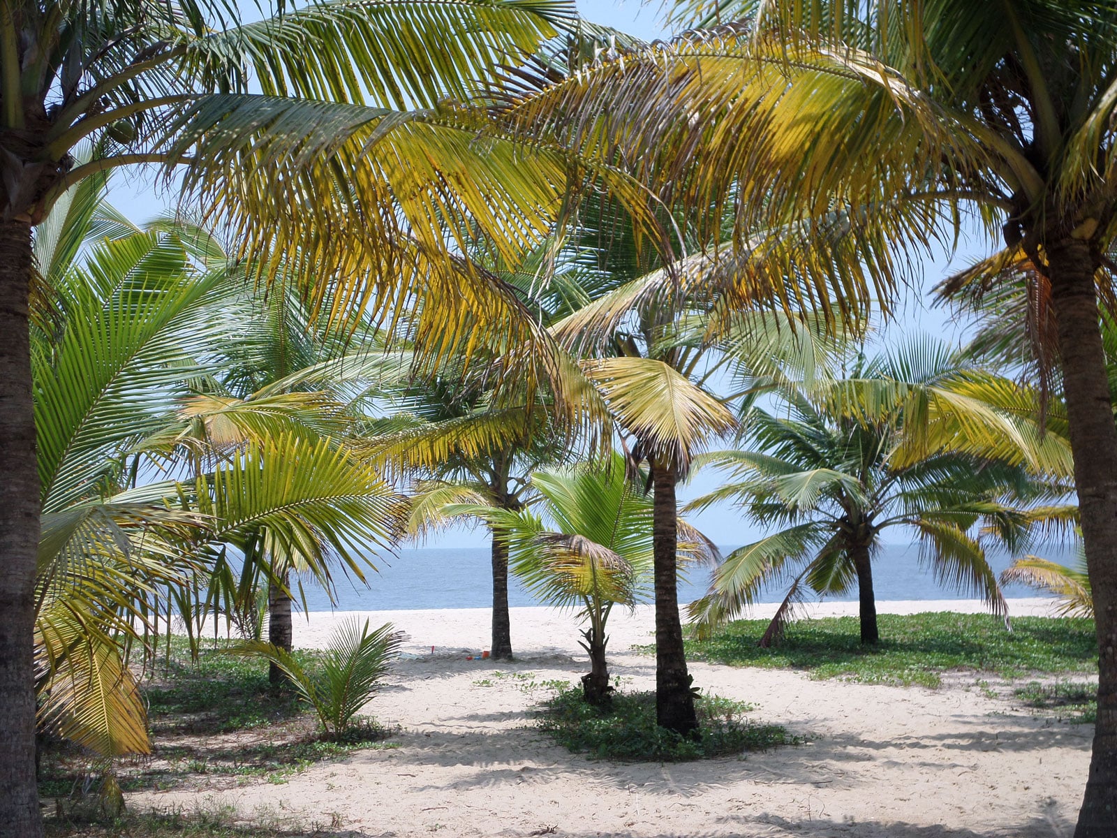 rondreis india alleppey marari hotel 11