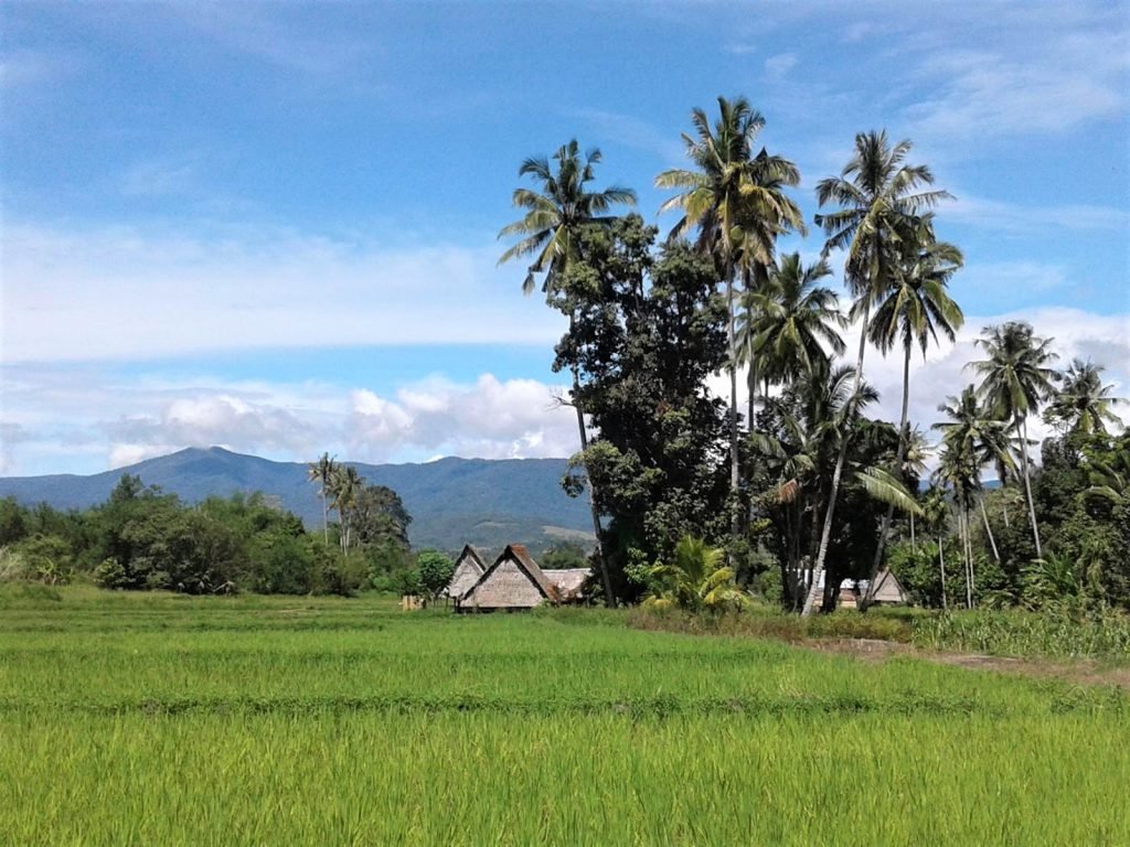 Hoogtepunten | Rama Tours