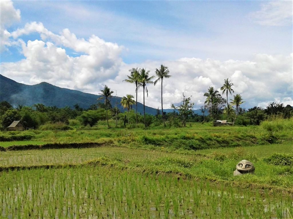 Hoogtepunten | Rama Tours