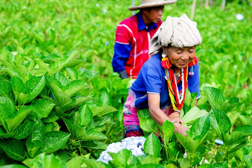 Thailand, Land van de Eeuwige Glimlach | Rama Tours