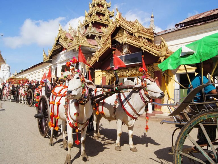 Hoogtepunten | Rama Tours