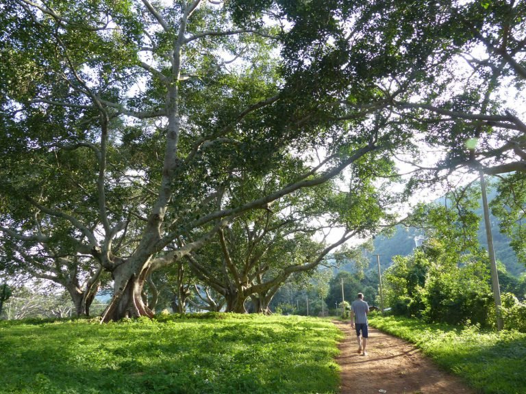 Hoogtepunten | Rama Tours
