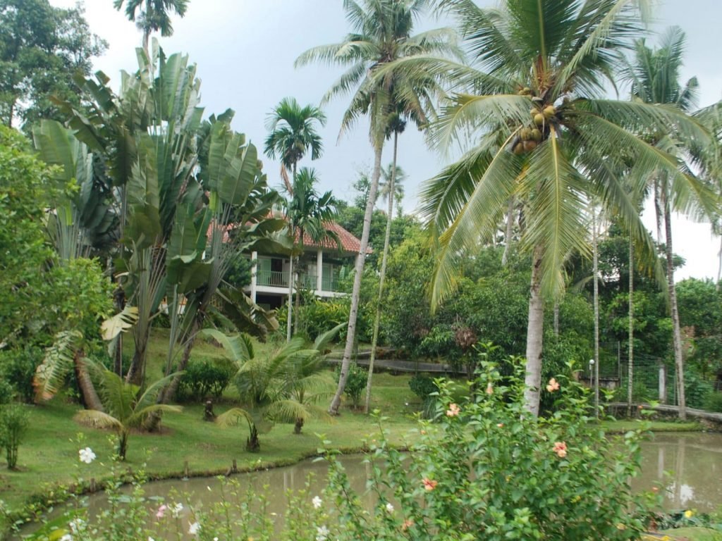 Hotels | Rama Tours