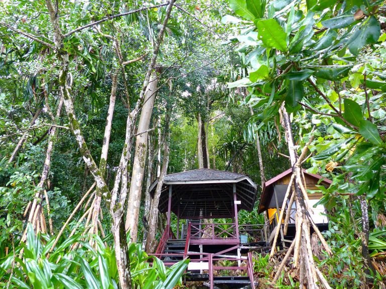 Hoogtepunten | Rama Tours