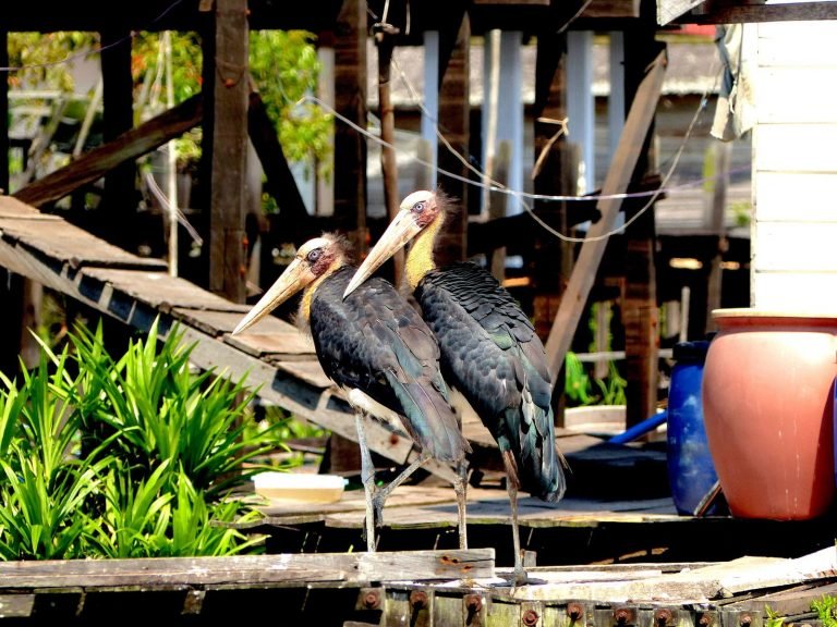 Hoogtepunten | Rama Tours
