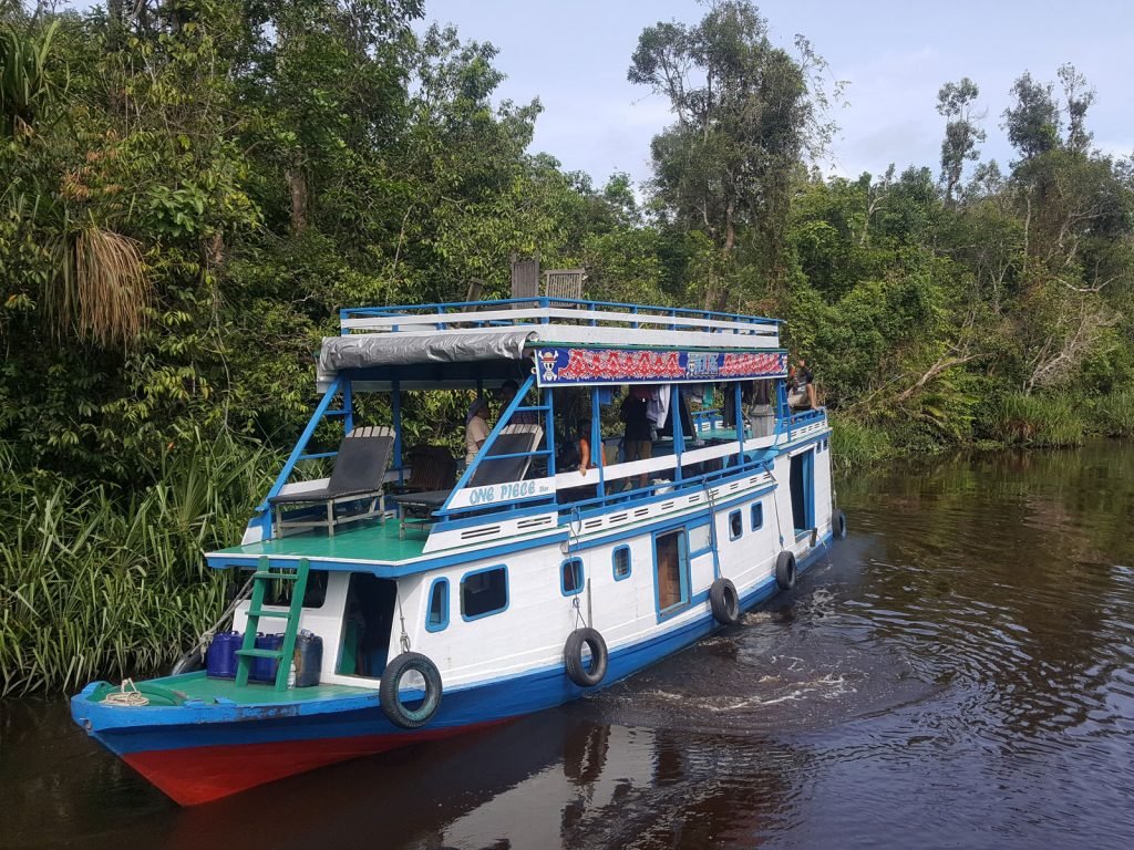 rondreis kalimantan tanjung puting hoogtepunt 15b