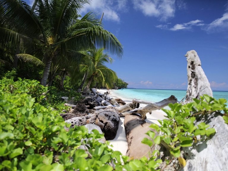 Hotels | Rama Tours