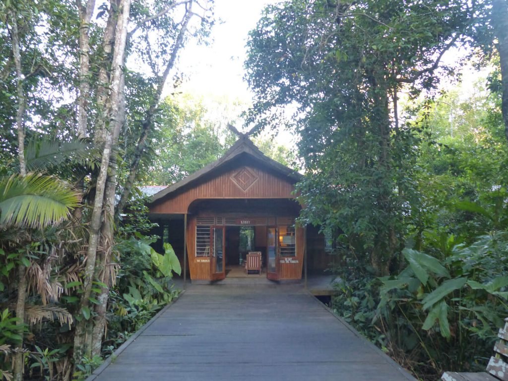 rondreis kalimantan tanjung puting rimba lodge 2