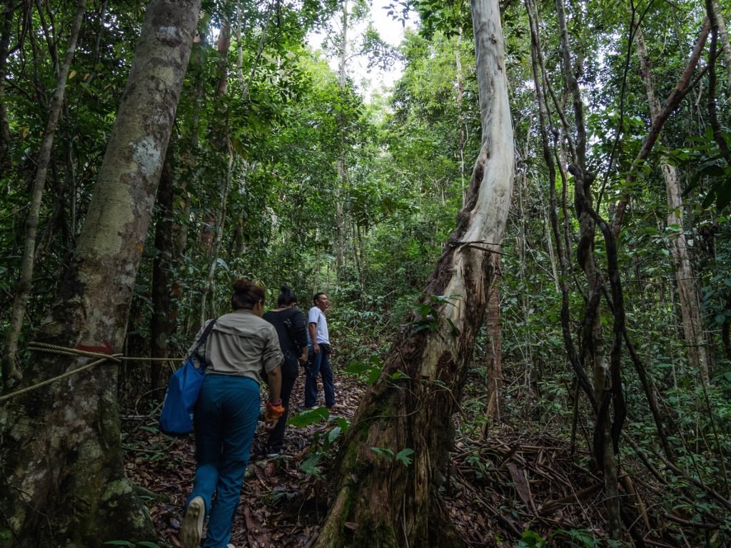 Hoogtepunten | Rama Tours