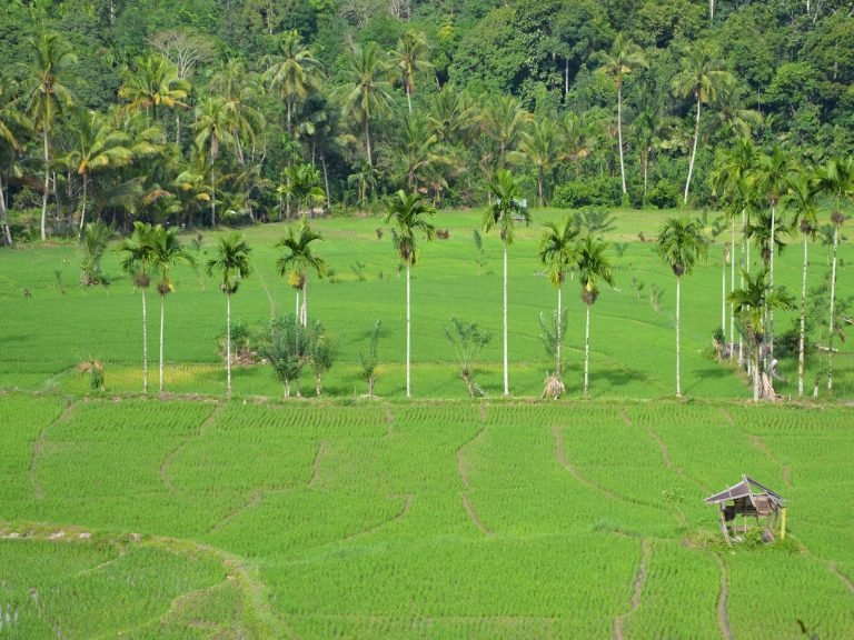 Hoogtepunten | Rama Tours