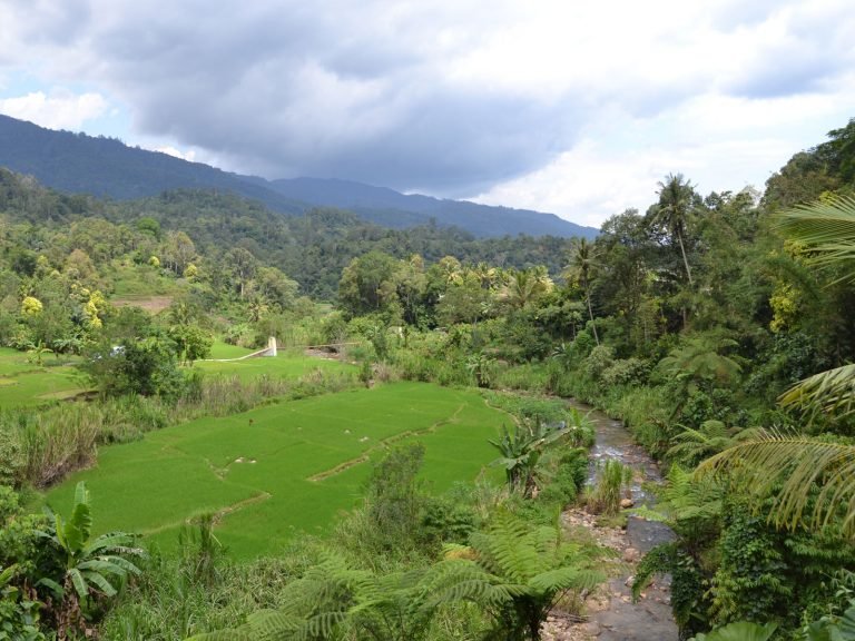 Hoogtepunten | Rama Tours