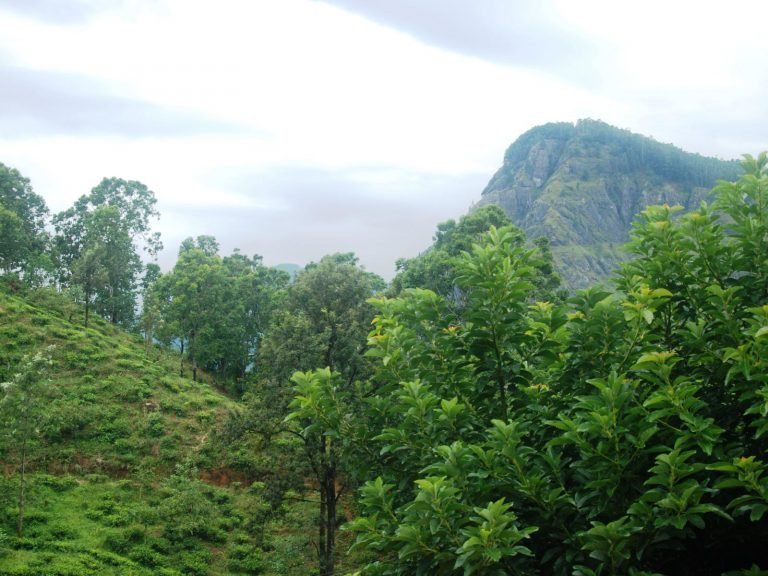 Hotels | Rama Tours