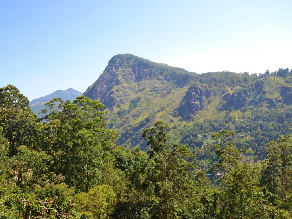 Hotels | Rama Tours