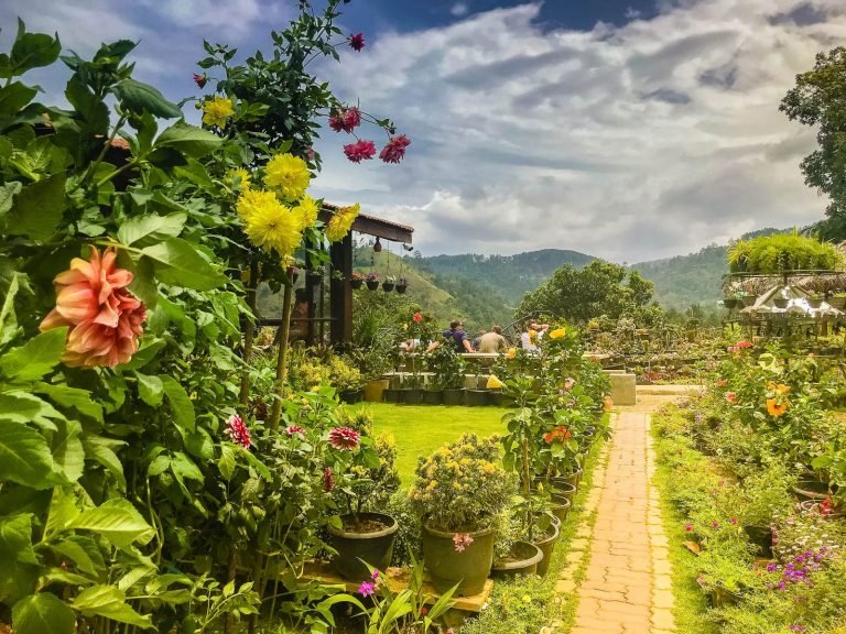 Hotels | Rama Tours