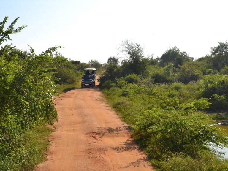 Hotels | Rama Tours