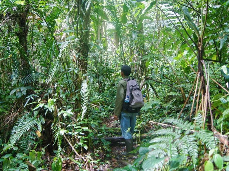 Hoogtepunten | Rama Tours