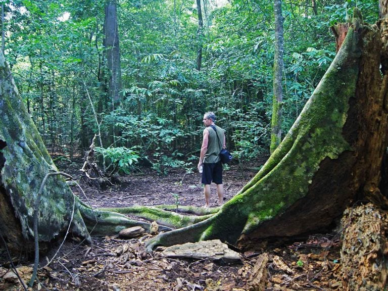 Hoogtepunten | Rama Tours