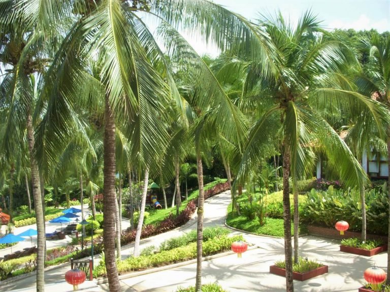 Hotels | Rama Tours