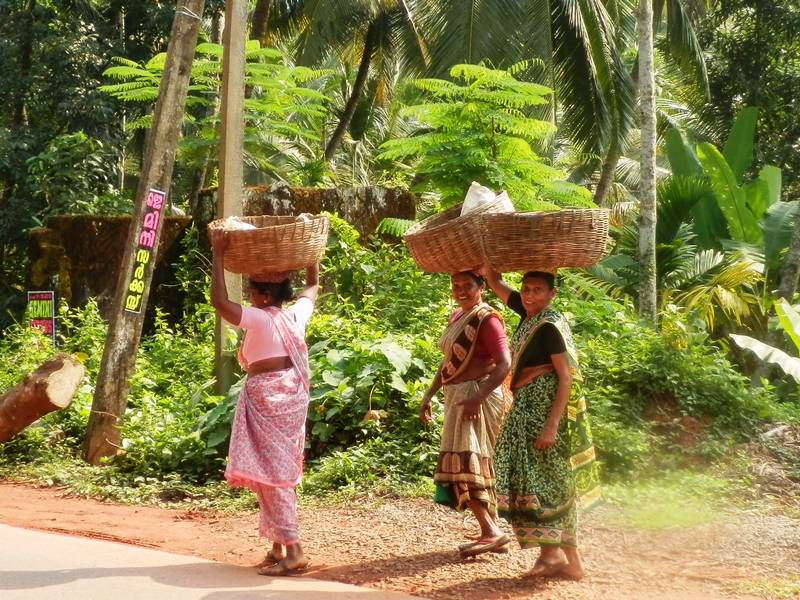 Rondreis India