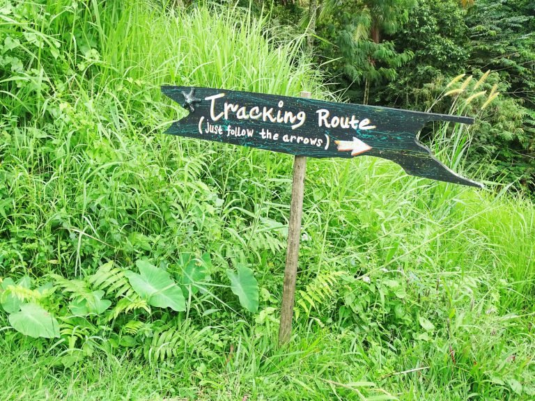 Hoogtepunten | Rama Tours