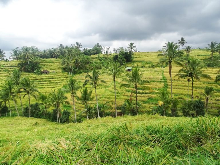 Hoogtepunten | Rama Tours