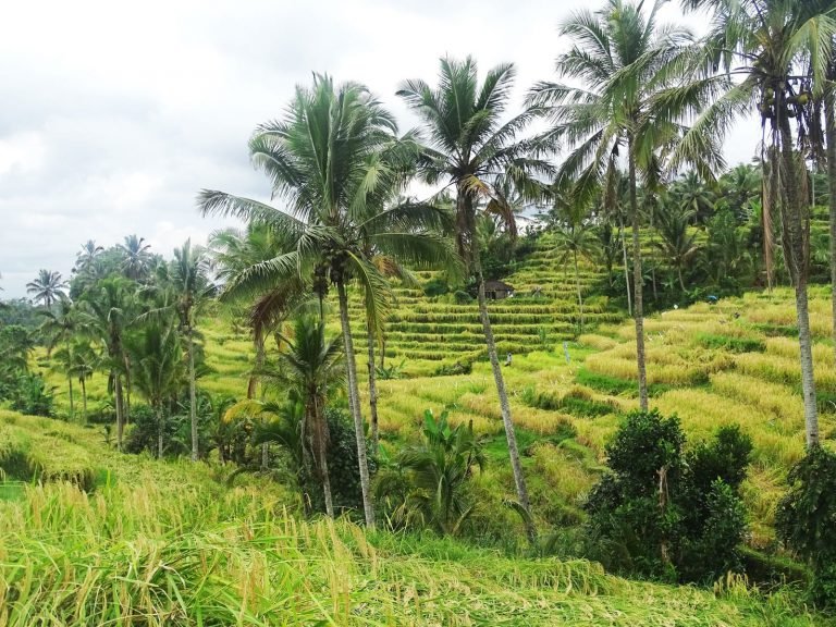 Hoogtepunten | Rama Tours