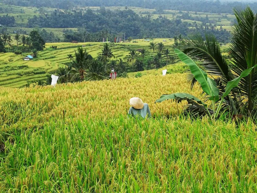 Hoogtepunten | Rama Tours