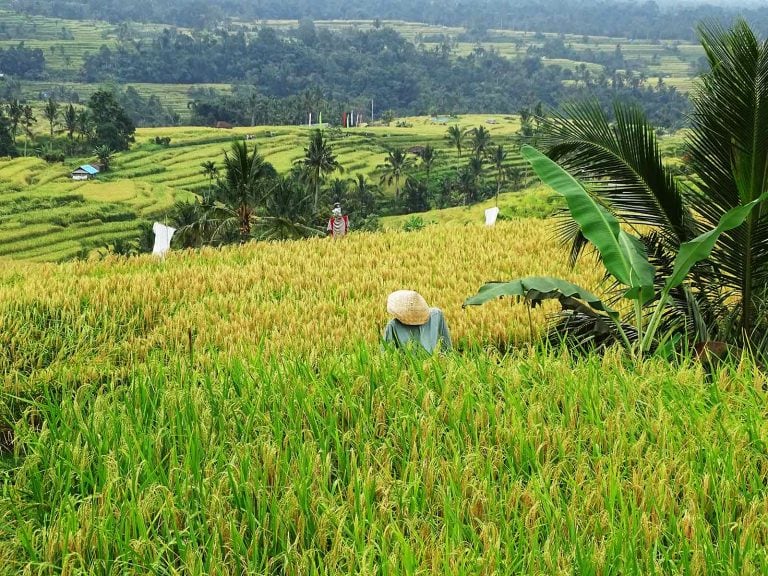 Hoogtepunten | Rama Tours