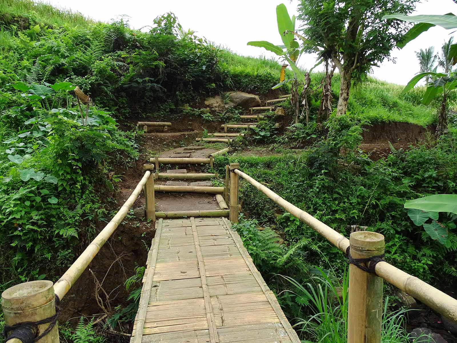 rondreis bali jatiluwih rijstvelden paddy fields 4