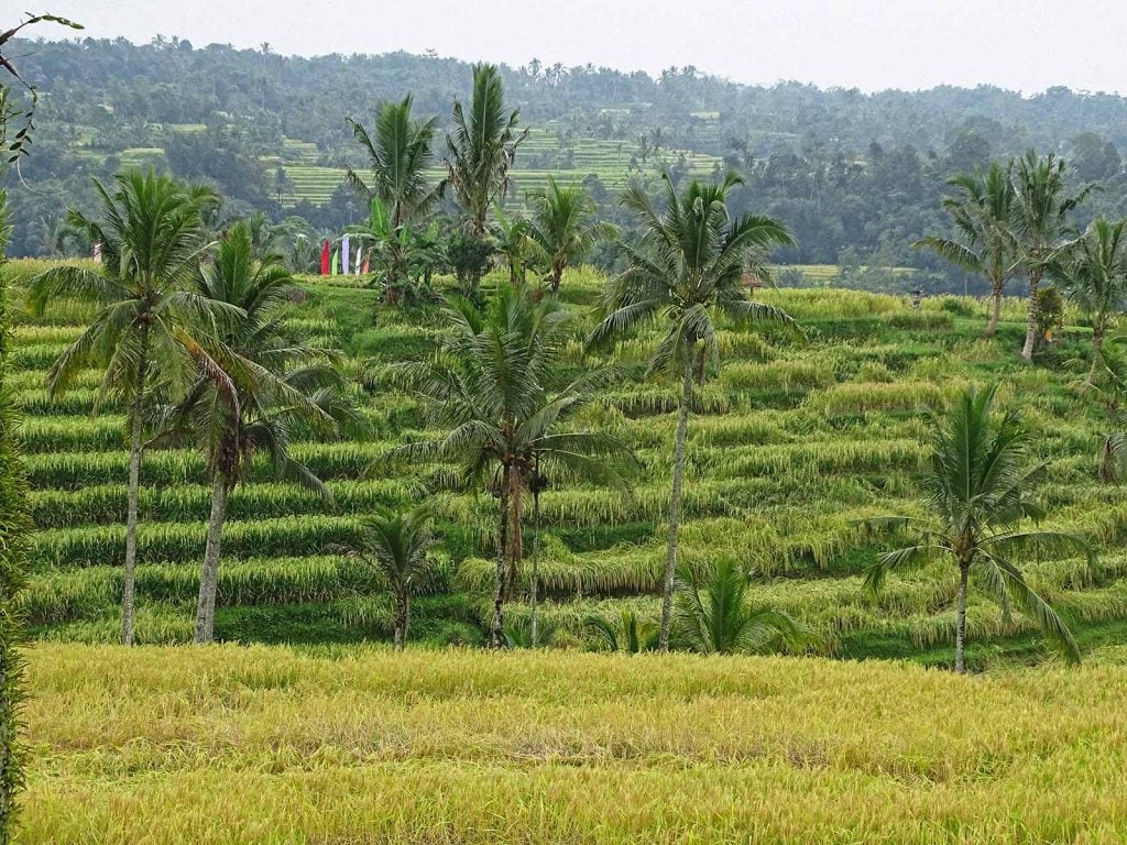 Hoogtepunten | Rama Tours