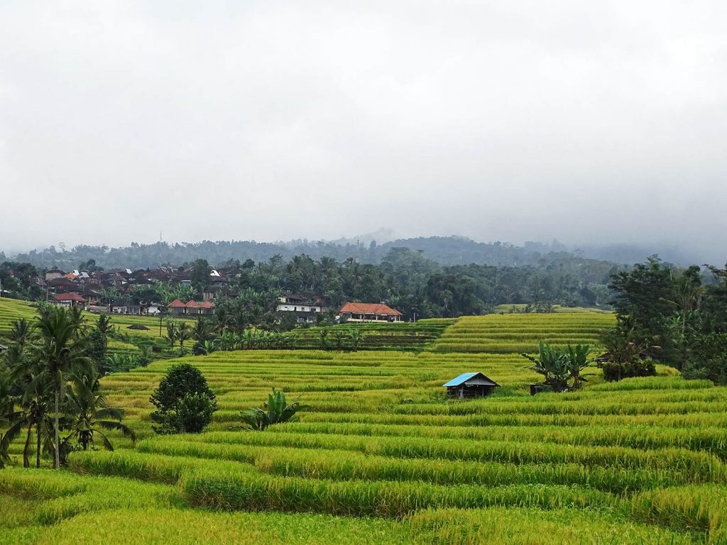 Hoogtepunten | Rama Tours
