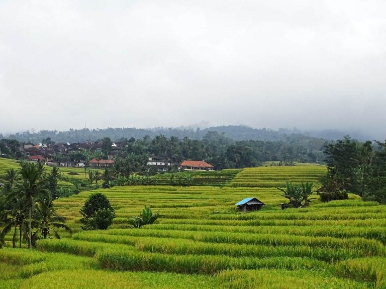 Hoogtepunten | Rama Tours