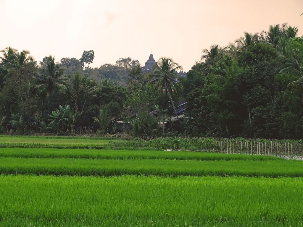 Hotels | Rama Tours