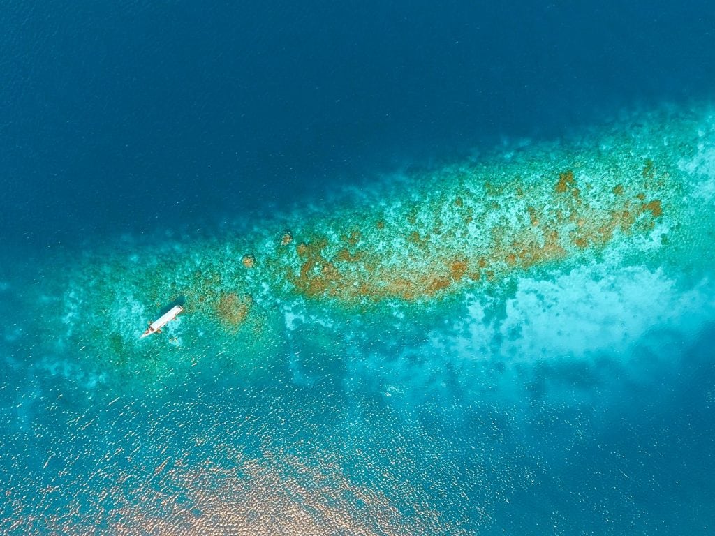 Privé: Zuidoost Sulawesi, paradijselijk Wakatobi