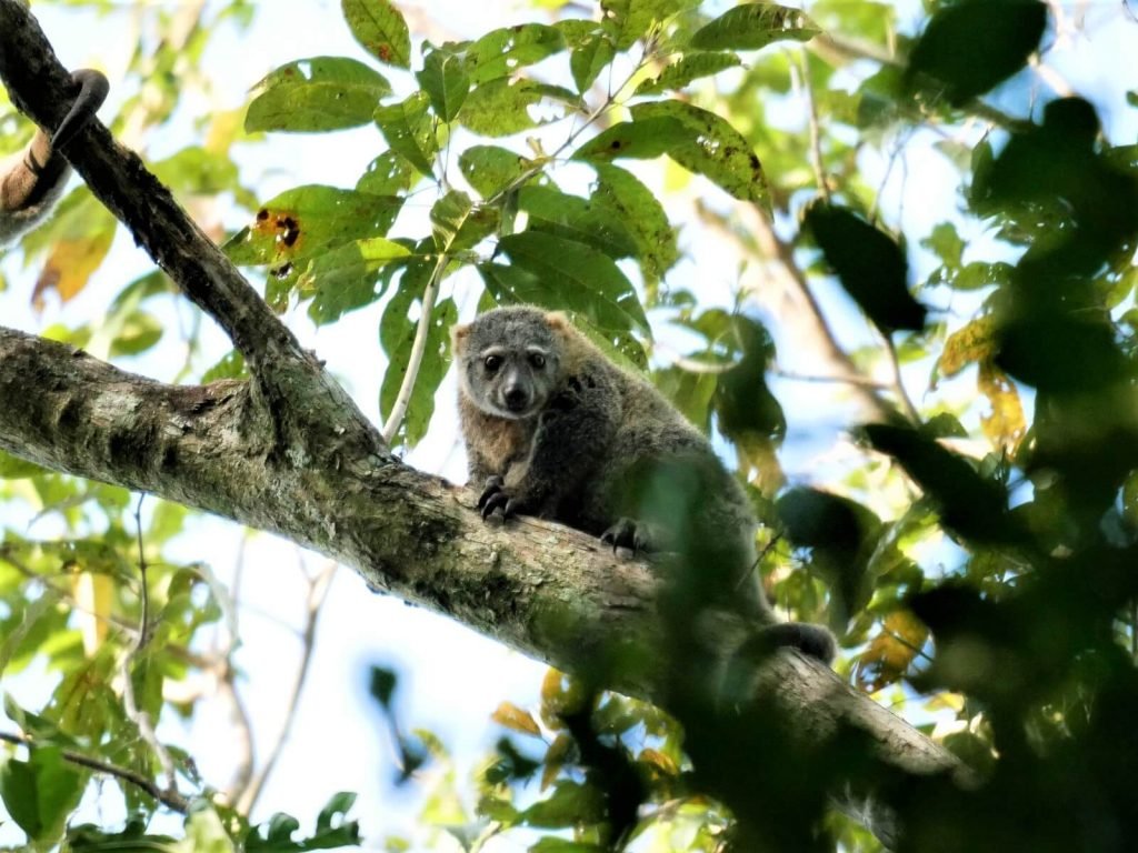 Hoogtepunten | Rama Tours