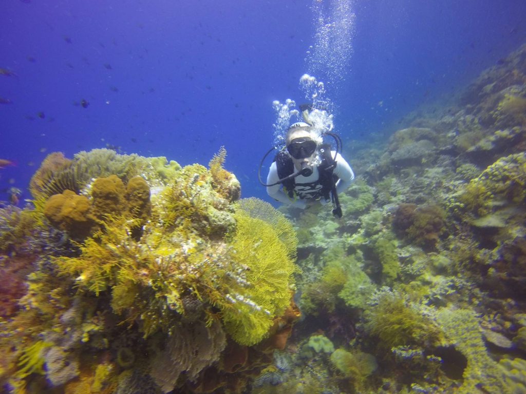 Wangi Wangi | Rama Tours