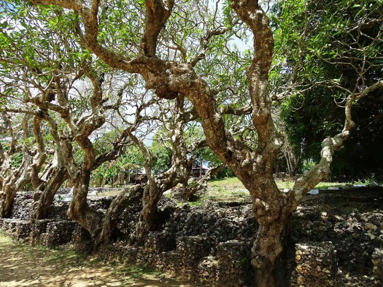 Hoogtepunten | Rama Tours