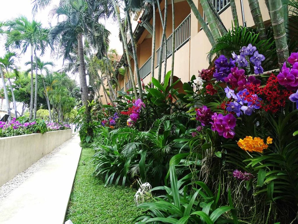 Hotels | Rama Tours